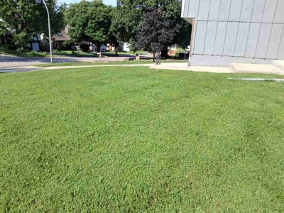 Lawn Care service in Gardner, 66030