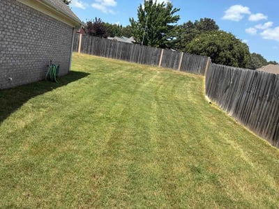 Lawn Care service in Southaven, 38671