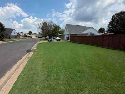 Lawn Care service in Southaven, 38671