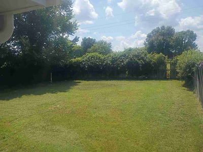 Lawn Care service in Senatobia, 38668