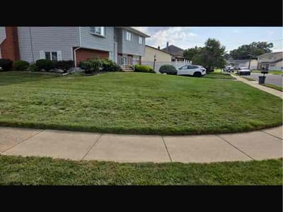 Lawn Care service in Trenton, 08608