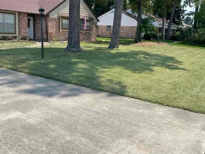 Lawn Care service in Kingwood, 77339