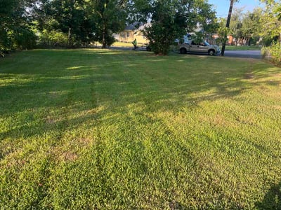 Lawn Care service in Kingwood, 77339