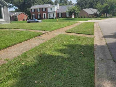 Lawn Care service in Mount Washington, 40047