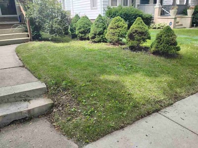 Lawn Care service in West Bend, 53095