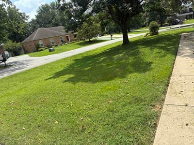Lawn Care service in Mount Washington, 40047