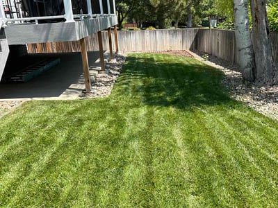 Lawn Care service in Lone Tree, 80124