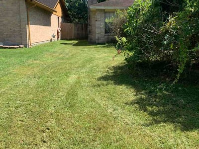Lawn Care service in Fresno, 77545