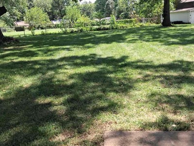 Lawn Care service in Mission, 66202