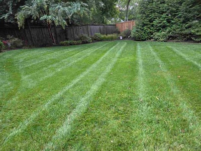 Lawn Care service in Montgomery Village, 20886