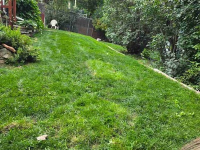 Lawn Care service in Centennial, 80112
