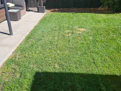 Lawn Care service in Centennial, 80112