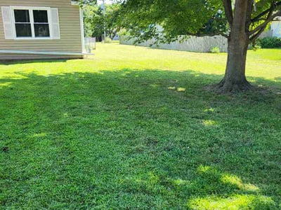 Lawn Care service in Topeka, 66612