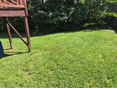 Lawn Care service in Siler City, 27344