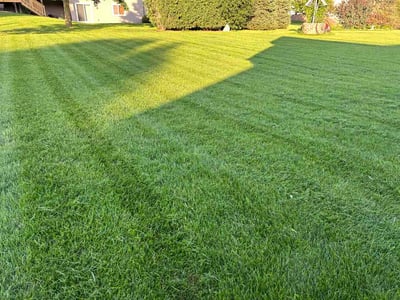 Lawn Care service in Menomonee Falls, 53051