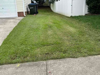 Lawn Care service in Siler City, 27344