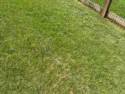 Lawn Care service in Westminster, 21157