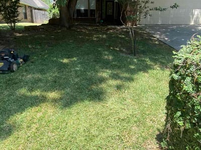 Lawn Care service in Montgomery, 77316