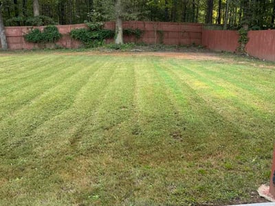 Lawn Care service in South Portland, 04106