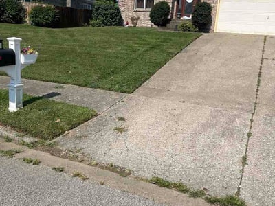 Lawn Care service in Clarksville, 47129