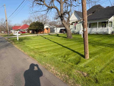 Lawn Care service in River Oaks, 76114