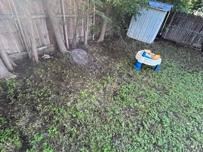 Lawn Care service in River Oaks, 76114