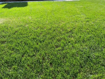 Lawn Care service in Fairplay, 80440