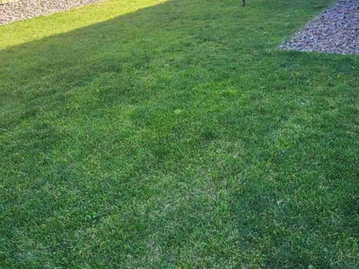 Lawn Care service in Peyton, 80831