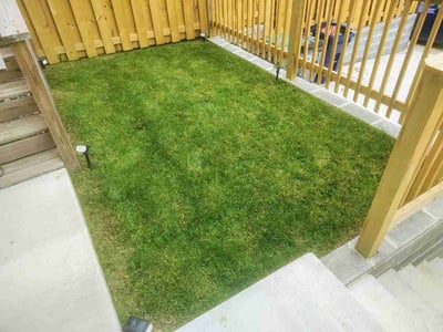 Lawn Care service in Elkridge, 21075