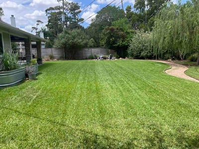 Lawn Care service in Bellaire, 77401