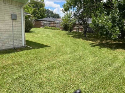 Lawn Care service in Bellaire, 77401