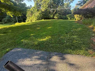 Lawn Care service in Frederick, 21701