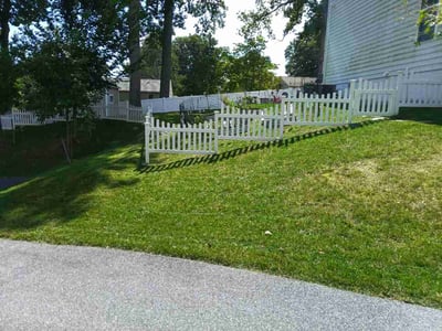 Lawn Care service in Ellicott City, 21043