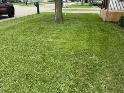 Lawn Care service in Antioch, 60002