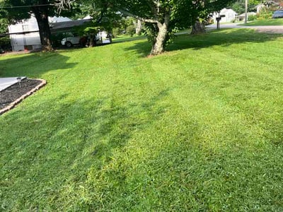 Lawn Care service in Oak Ridge, 37830