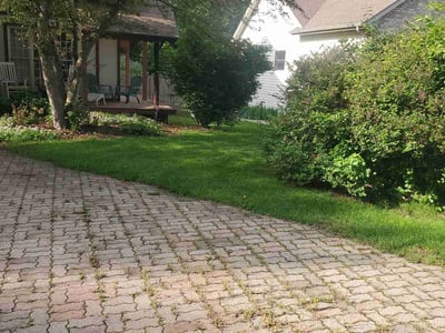 Lawn Care service in Antioch, 60002