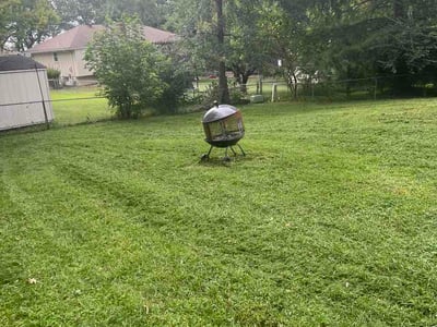 Lawn Care service in Grain Valley, 64029