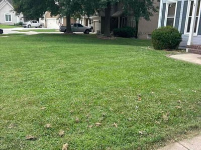 Lawn Care service in Grain Valley, 64029