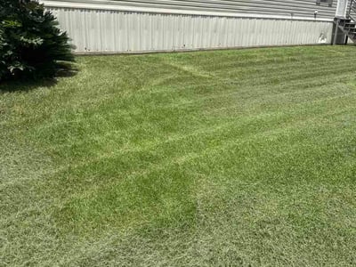 Lawn Care service in Abbeville, 70510