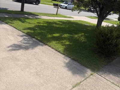 Lawn Care service in Franklin, 46131
