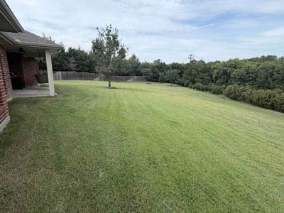 Lawn Care service in Sunnyvale, 75182