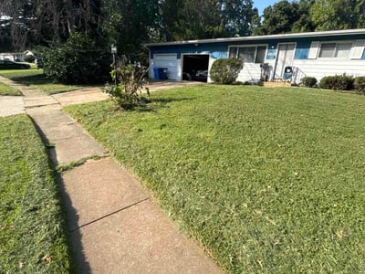 Lawn Care service in Fallbrook, 92028