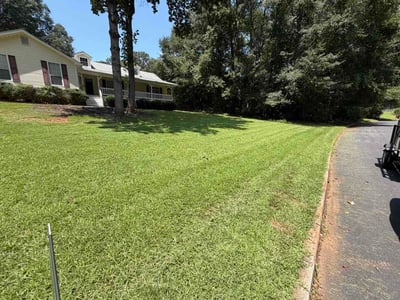 Lawn Care service in Santa Barbara, 93101