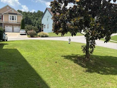 Lawn Care service in Santa Barbara, 93101