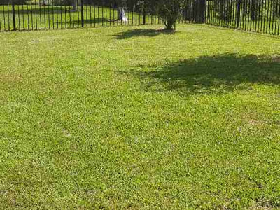 Lawn Care service in Lakeside, 92040