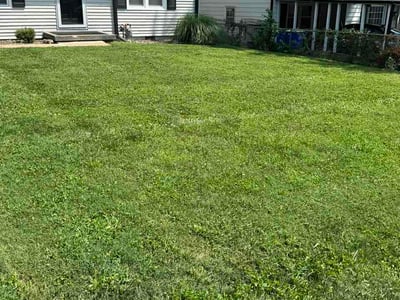 Lawn Care service in Shawnee, 66203