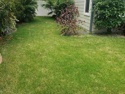 Lawn Care service in Vista, 92083