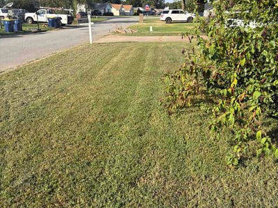 Lawn Care service in Cabot, 72023
