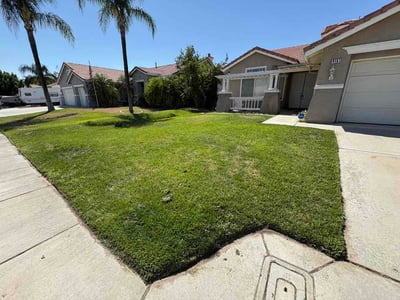 Lawn Care service in Yucca Valley, 92284