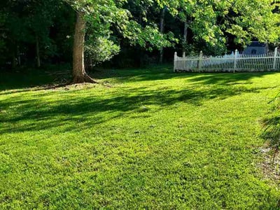 Lawn Care service in Beltsville, 20705